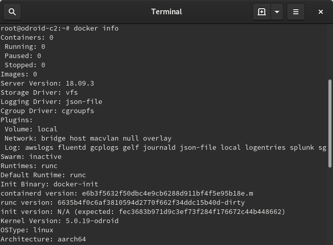 terminal output